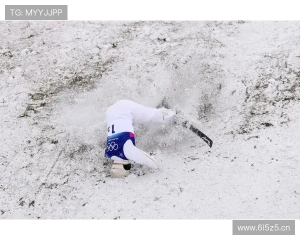 空中技巧混团失误摘铜憾收官战